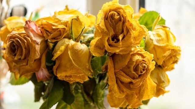 Kronik hastalıklar depresyon riskini artırıyor