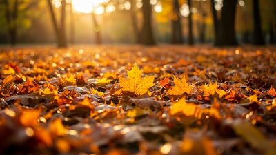 Hayattan yorulduğunuzda bunları yapın