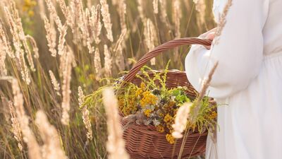 Haftanın ilhamı: Yavaşlamak