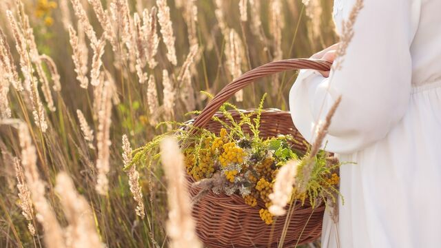 Haftanın ilhamı: Yavaşlamak