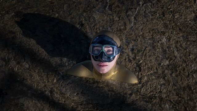 Marmara'ya umut dalışı