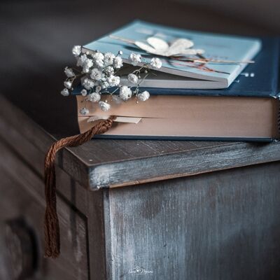 Haftalık burç yorumları: 2 - 8 Haziran