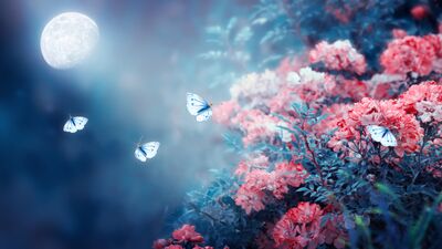 Günlük burç yorumları: 31 Mayıs Cumartesi