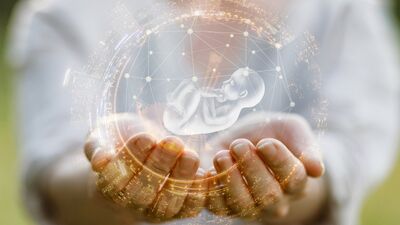 Tartışılan tıp teknolojisi: Yapay rahim