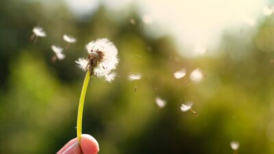 Boşanmanın iyi yanları var mı?