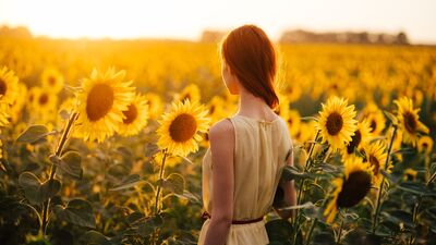 Dinlenme trendi: Günebakan zamanı