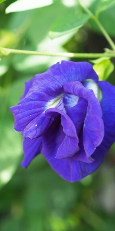 FDA’nın onayladığı 3 yeni katkı maddesi