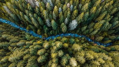 "Nehir"ler bize ne öğretir?