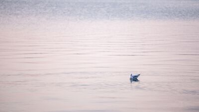 Huzurun anahtarı: Sakinlik