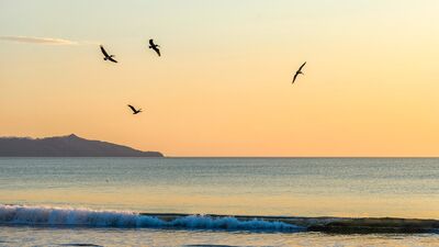 Kronik stres döngüsünden nasıl kurtulursunuz?