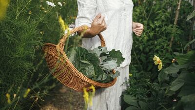 Bahçeyi permakültür cennetine çevirmenin 7 yolu