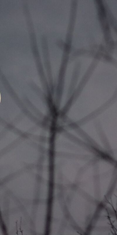 10 Temmuz Oğlak Dolunay&#039;ı ve etkileri...