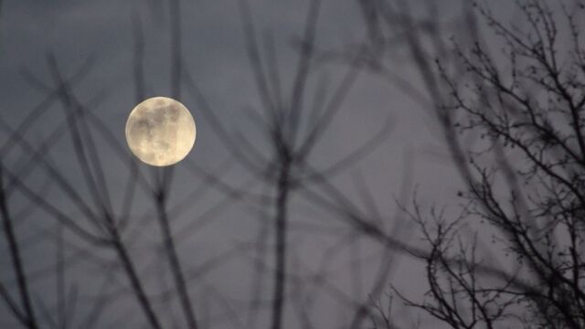 10 Temmuz Oğlak Dolunay&#039;ı ve etkileri...