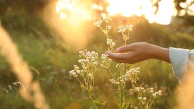 Farkındalıklı bir yürüyüş neleri değiştirir?