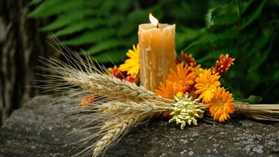 Günlük burç yorumları: 28 Temmuz Pazartesi