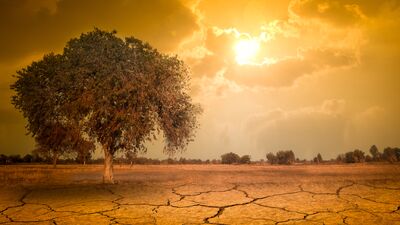 Fazla su harcamadan serinleme yöntemleri