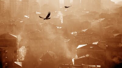 Hava kirliliği demans riskini artırıyor