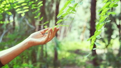 Maliyeti olmayan öz bakım önerileri