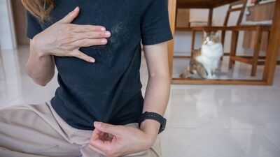 Kedi tüyü insanlar için zararlı mıdır?