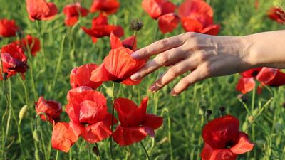 Sade yaşam mutluluğu artırıyor