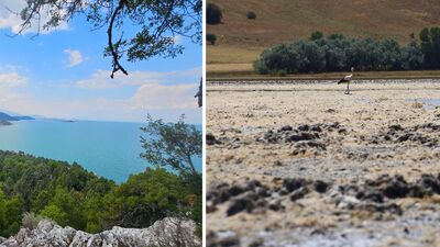 Kuraklık öncesi ve sonrası...