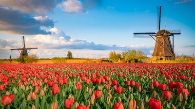 Zengin olmadan da hayırsever olabilirsiniz