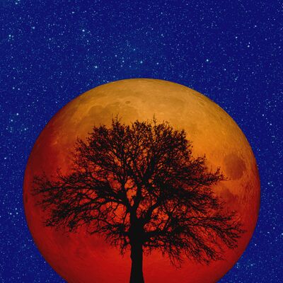 Balık burcunda Ay tutulmasının dünyaya etkileri