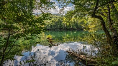 Yedigöller&#039;de sonbahar cümbüşü