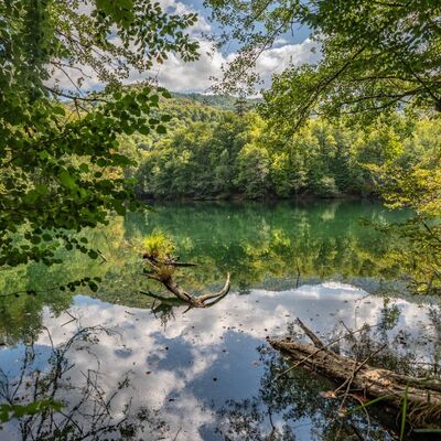 Yedigöller'de sonbahar cümbüşü