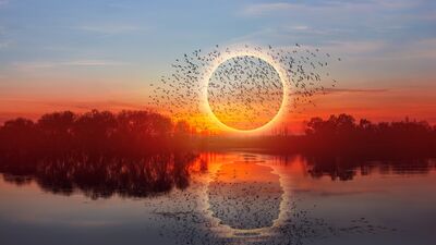 Evrenin tamir hattı