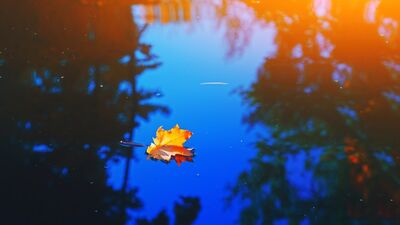 Sonbahar Ekinoksu: Işığın çekilişi