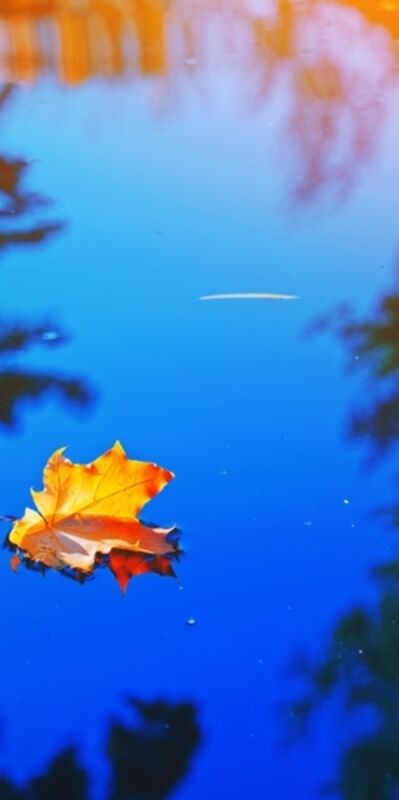 Sonbahar Ekinoksu: Işığın çekilişi