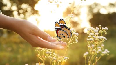 Belki de kendine dönme zamanı gelmiştir