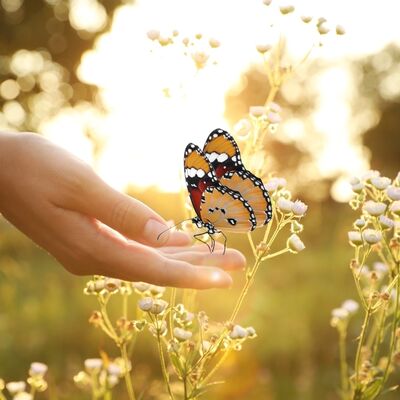Belki de kendine dönme zamanı gelmiştir