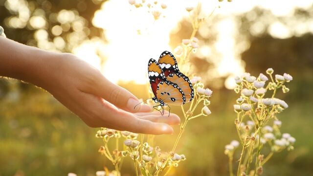 Belki de kendine dönme zamanı gelmiştir