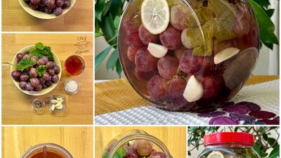 Üzüm turşusu tarifi 