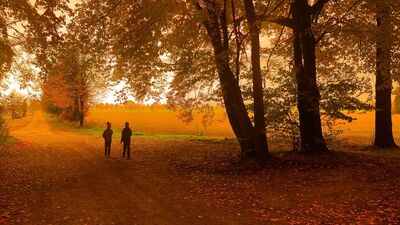 Çocukları ezbere mi büyütüyoruz?