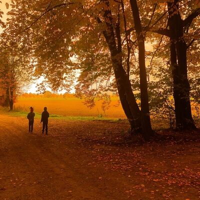 Çocukları ezbere mi büyütüyoruz?