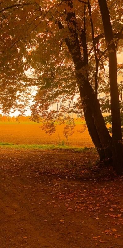 Çocukları ezbere mi büyütüyoruz?