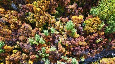 Sonbaharda rengarenk: Geminbeli Geçidi