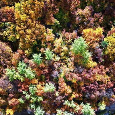 Sonbaharda rengarenk: Geminbeli Geçidi