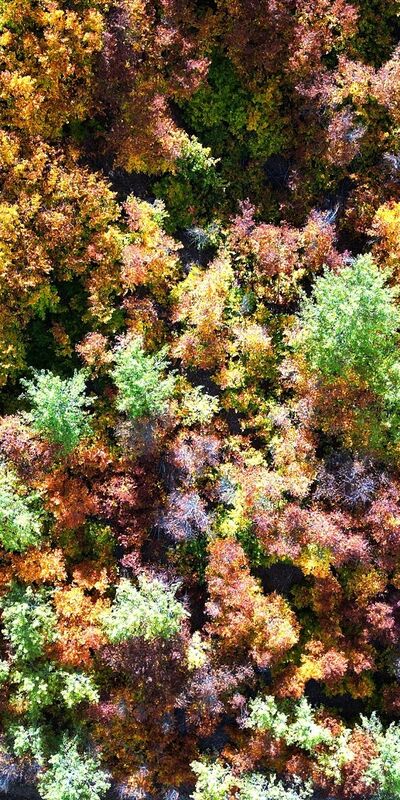 Sonbaharda rengarenk: Geminbeli Geçidi