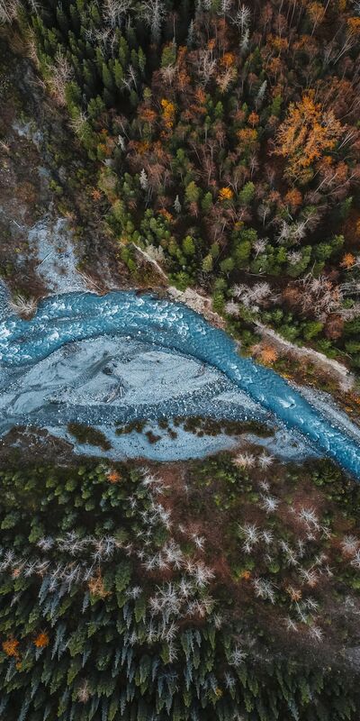 Alaska’da sonbahar büyüsü