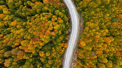 Domaniç Dağları'nda sonbahar