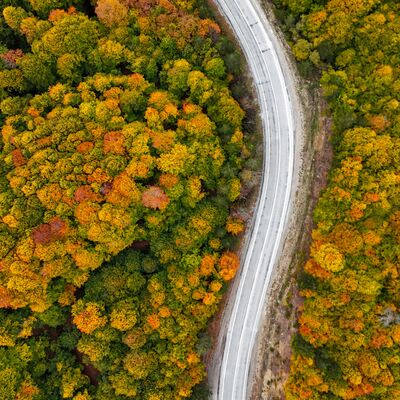 Domaniç Dağları'nda sonbahar