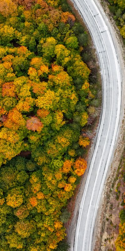 Domaniç Dağları&#039;nda sonbahar