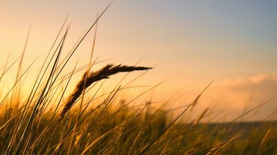 Neden hep aynı yerden kırılıyorsun?