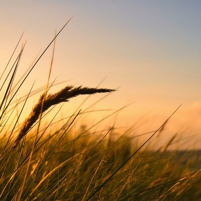Neden hep aynı yerden kırılıyorsun?