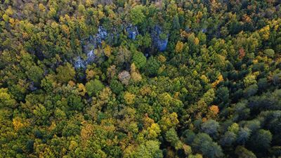 Orman denizi: Karabük