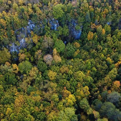 Orman denizi: Karabük